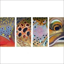 DeYoung Print - 4 In 1 - Face Gifts