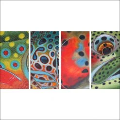 DeYoung Print - 4 In 1 - Face Bright