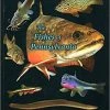 TCO Fly Shop The Fishes Of Pennsylvania Books & Videos