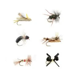 Fulling Mill Terrestrial Selection