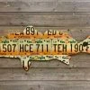 Gifts Cody Richardson Art - Georgia Redfish License Plate Art