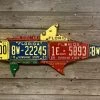 Cody Richardson Art - Antique Florida Cobia License Plate Art