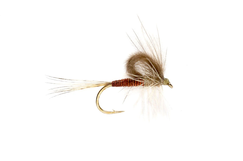 Fulling Mill CdC Loopwing Quill Emerger Hendrickson 3 Fulling Mill CdC Loopwing Quill Emerger Hendrickson