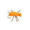 Fulling Mill Flies Indicator Beetle
