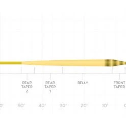 Fly Lines SCIENTIFIC ANGLERS AMPLITUDE SMOOTH - INFINITY TAPER