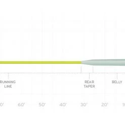 Fly Lines SCIENTIFIC ANGLERS AMPLITUDE SMOOTH REDFISH WARM