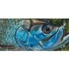 DeYoung Print - Baby Tarpon Gifts