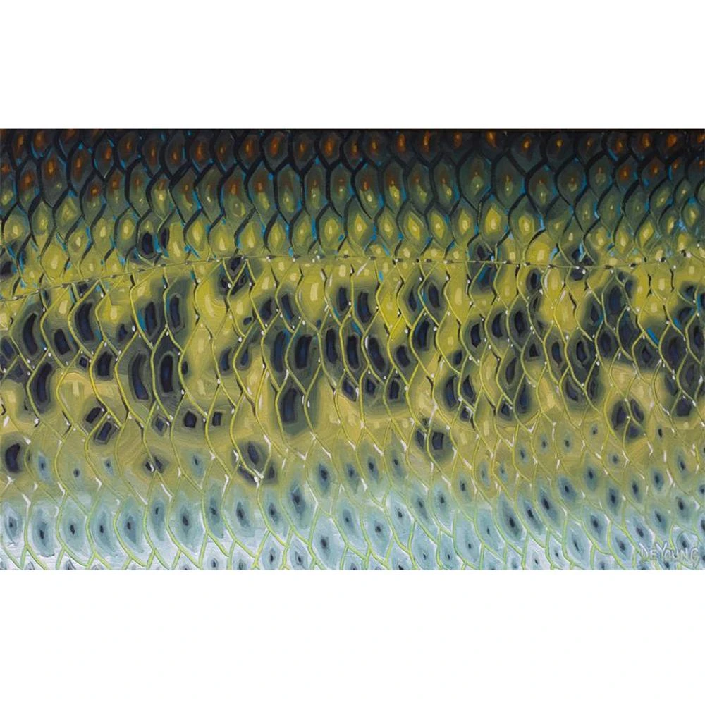 Gifts DeYoung Print - Bass Flank 3 Gifts DeYoung Print - Bass Flank