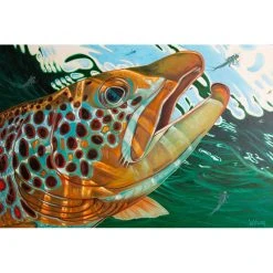 DeYoung Print - Brown Callibaetis