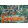 DeYoung Print - Brown Trout Waterfall Gifts