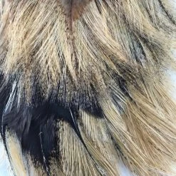 Whiting CDL Tailing Pack Materials