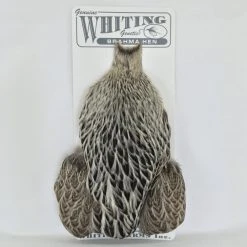 Whiting Brahma Hen SH/C Materials