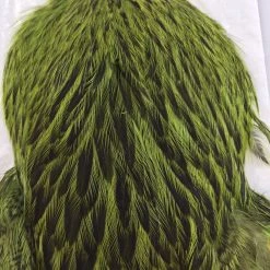 Whiting Brahma Hen SH/C Materials