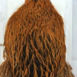 Whiting Brahma Hen SH/C Materials