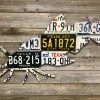 Gifts Cody Richardson Art - Texas Catfish License Plate Art