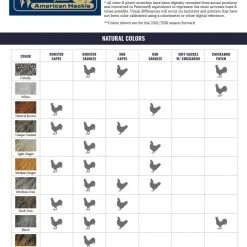 Whiting American Hen Saddle Materials