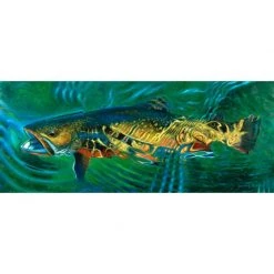 DeYoung Print - Brookie