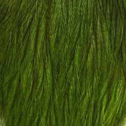 Whiting CDL Tailing Pack Materials