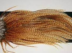 Umpqua METZ #3 HEN NECK