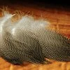 Hareline Gadwall Feathers 2 Hareline Gadwall Feathers