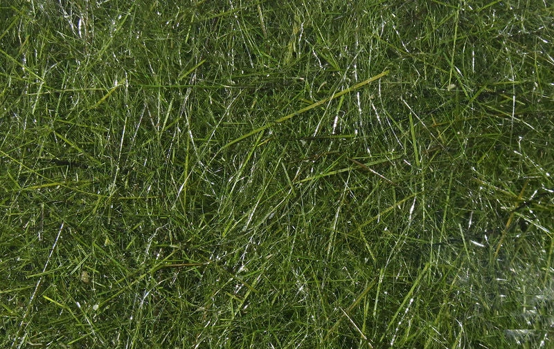 Hareline Materials Hare's Ear Plus Dub 5 Hareline Materials Hare's Ear Plus Dub