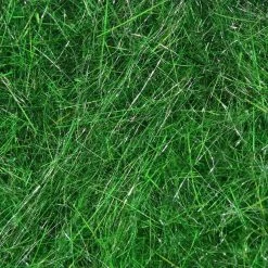 Hareline Materials Hare's Ear Plus Dub 22 Hareline Materials Hare's Ear Plus Dub