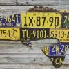 Cody Richardson Art - New York Largemouth Bass License Plate Art