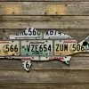 Cody Richardson Art - Louisiana Redfish Antique License Plate Art