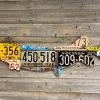 Cody Richardson Art - Wisconsin Pike/Muskie License Plate Art Gifts