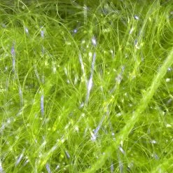 Hareline Materials UV Polar Chenille