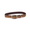 Fishpond Salty Dog Collar Pets 1 Fishpond Salty Dog Collar Pets