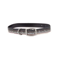 Fishpond Salty Dog Collar Pets