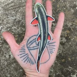 DrewLR Sticker - Top View Brookie