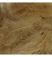 Trout Hunter CDC Feathers Dyed 0.5 Gram 6 Trout Hunter CDC Feathers Dyed 0.5 Gram